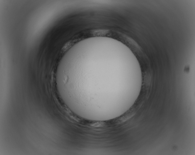 X0000093440761200710120945