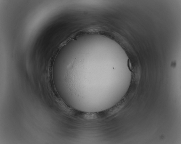 X0000093440762200710120945