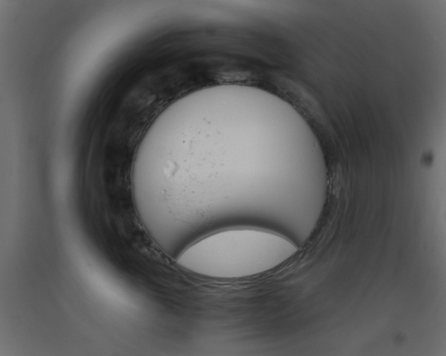 X0000093440763200710120945
