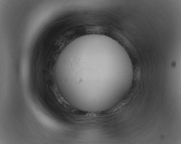 X0000093440764200710120945