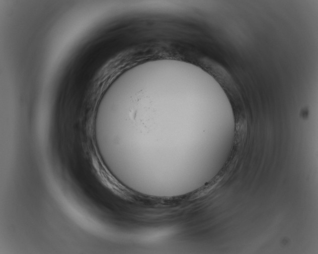 X0000093440765200710120945
