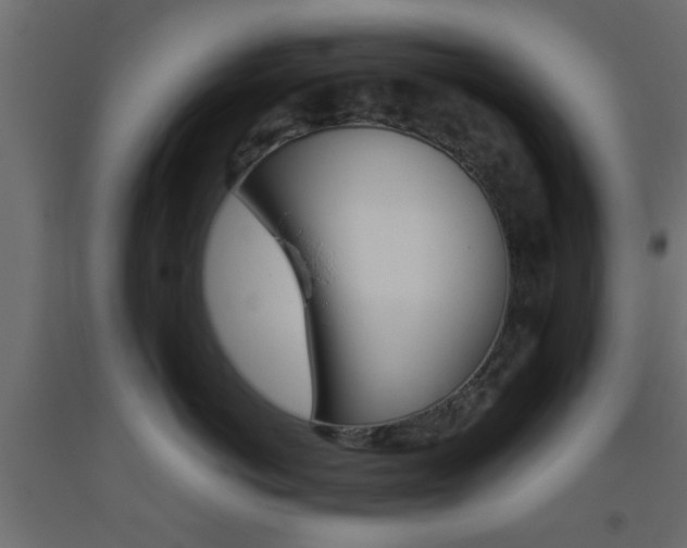 X0000093440766200710120945