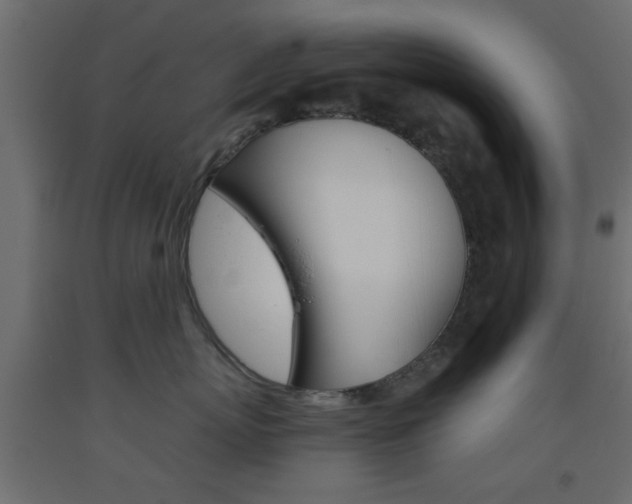 X0000093440767200710120945