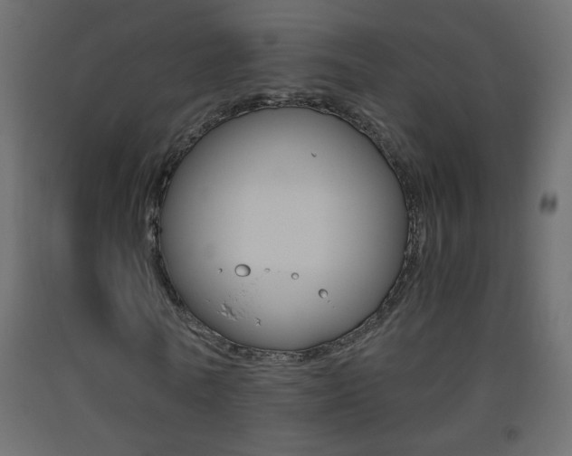 X0000093440770200710120945