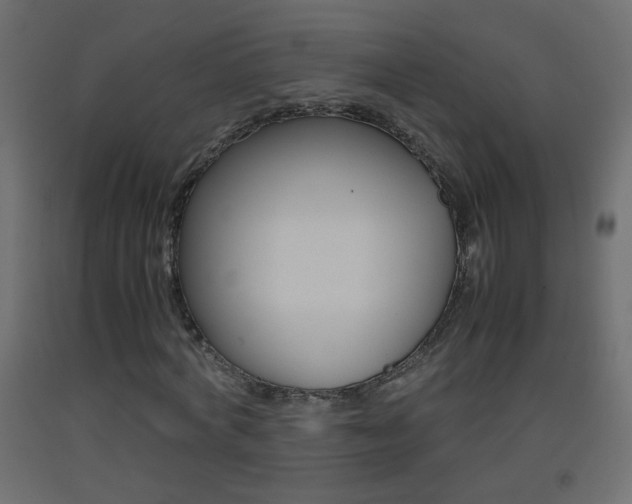 X0000093440772200710120945