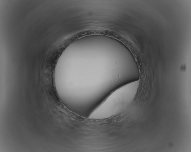 X0000093440773200710120945