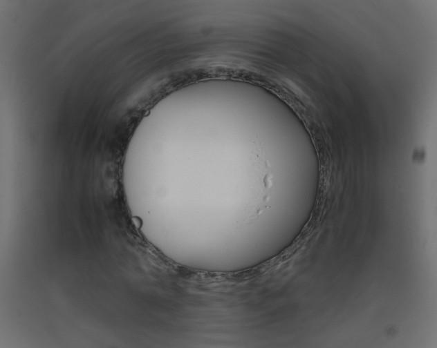 X0000093440774200710120945