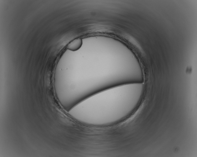 X0000093440777200710120945