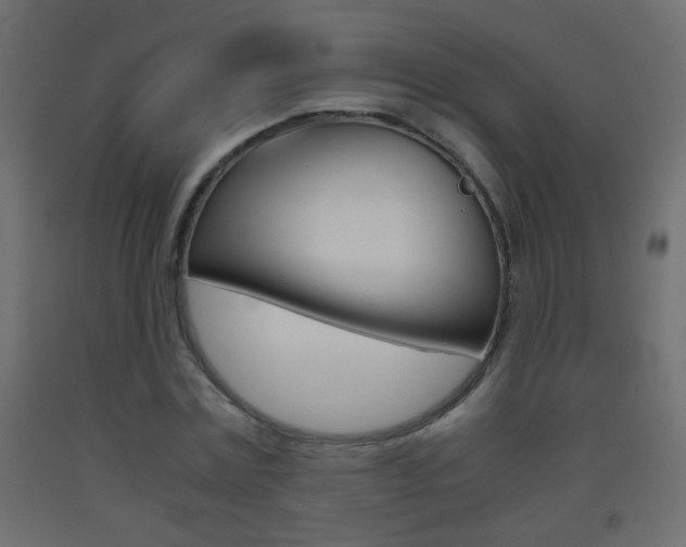 X0000093440779200710120944