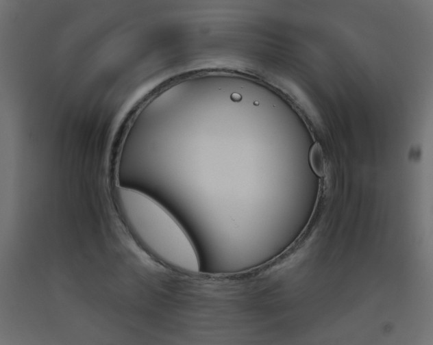 X0000093440780200710120944