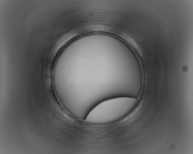 X0000093440782200710120944