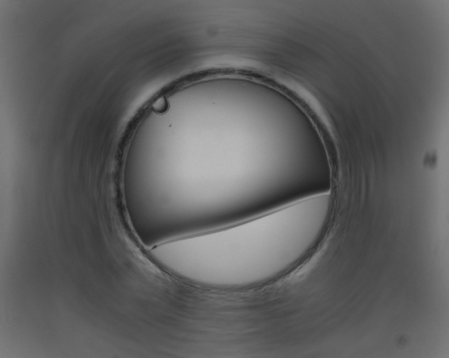 X0000093440783200710120944