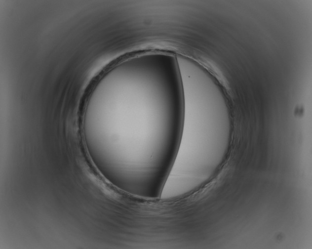X0000093440784200710120944