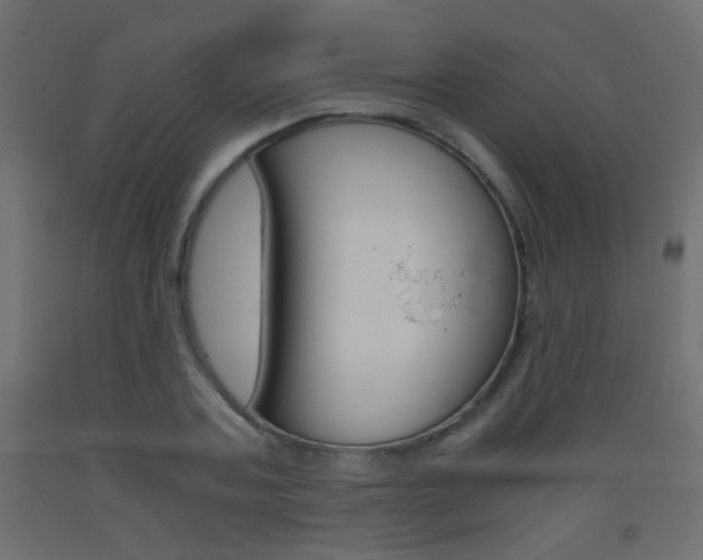 X0000093440787200710120944