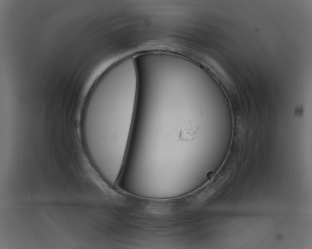 X0000093440788200710120944