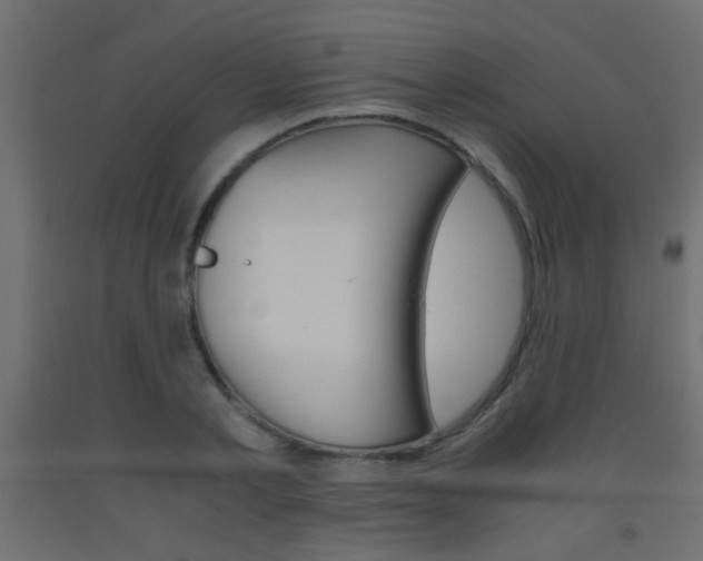 X0000093440789200710120944