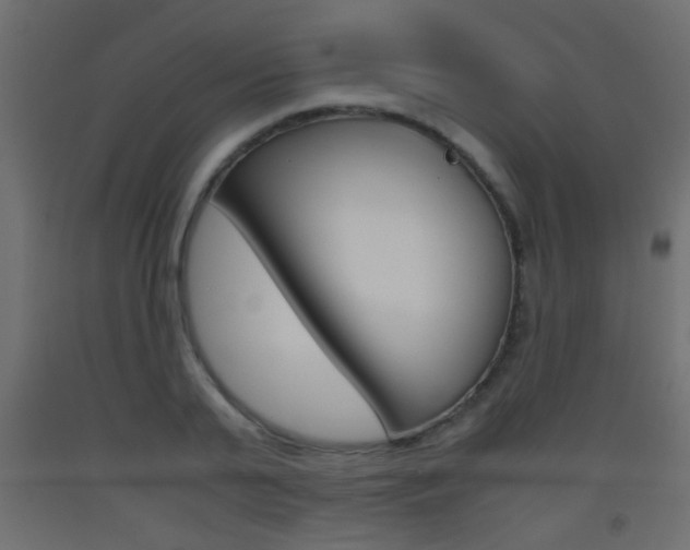X0000093440791200710120944
