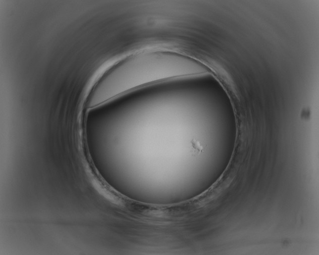 X0000093440792200710120944