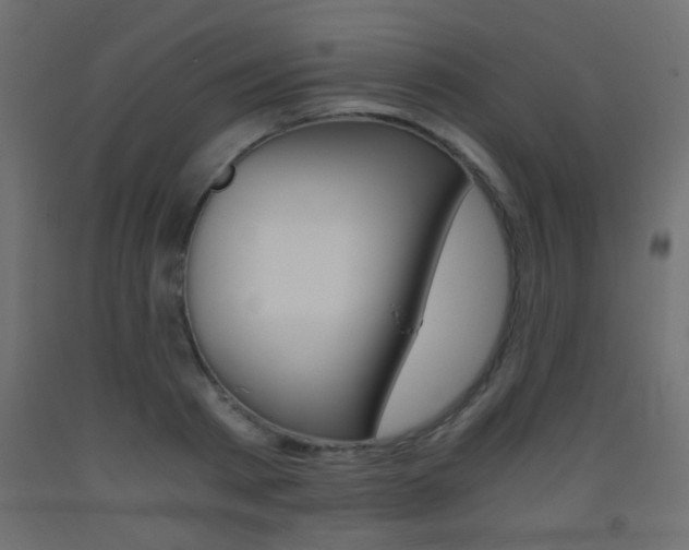 X0000093440793200710120944