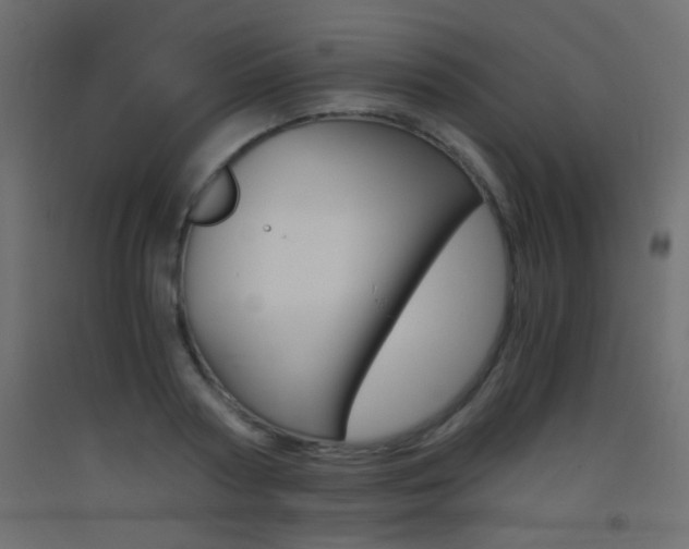 X0000093440794200710120944