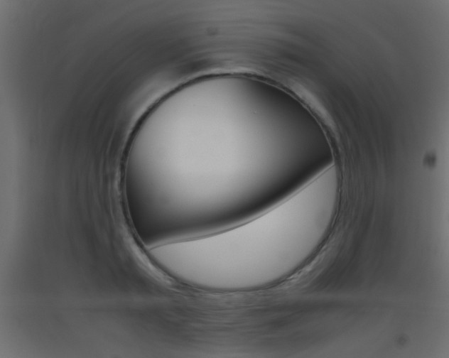 X0000093440797200710120944