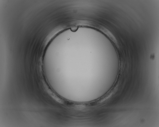 X0000093440798200710120944