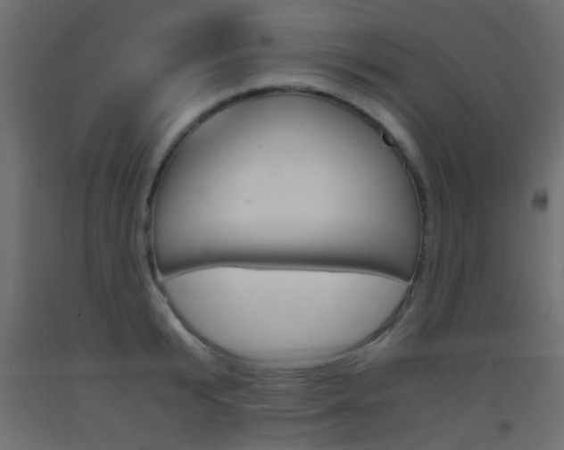 X0000093440799200710120944