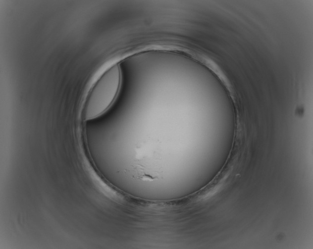 X0000093440803200710120944