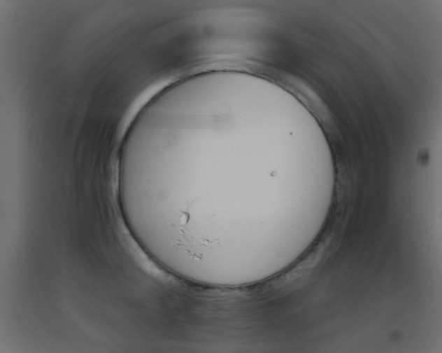 X0000093440804200710120944