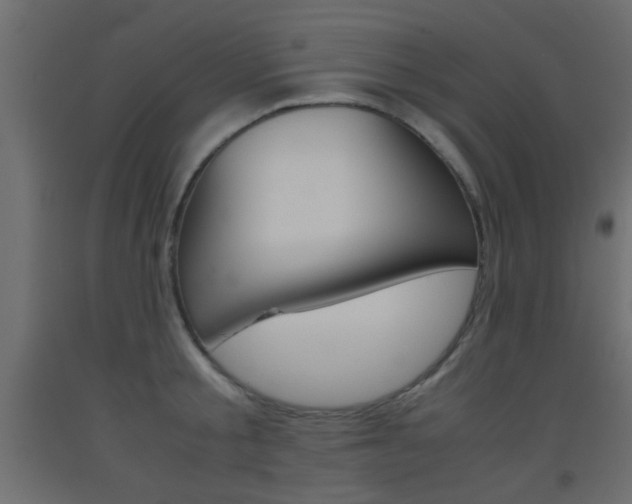 X0000093440805200710120944