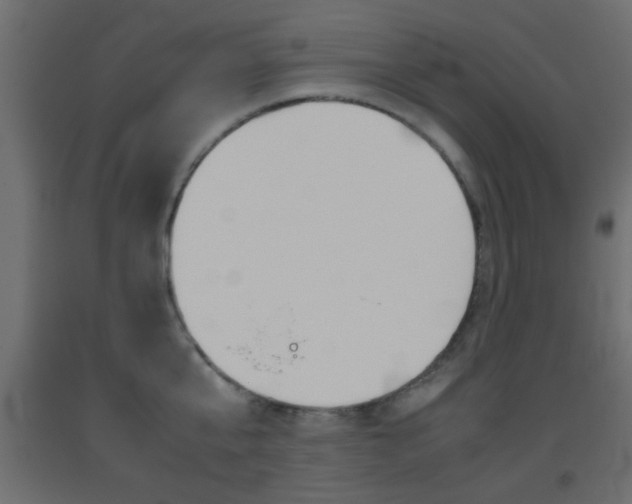 X0000093440807200710120944