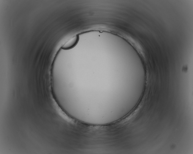 X0000093440808200710120944