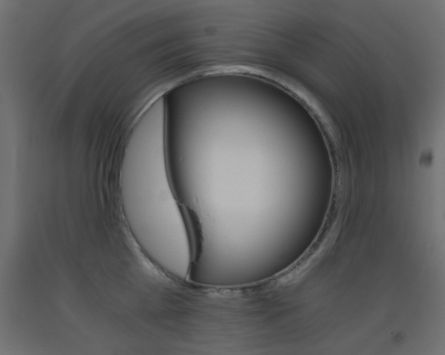 X0000093440809200710120944