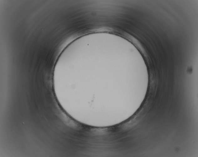X0000093440810200710120944
