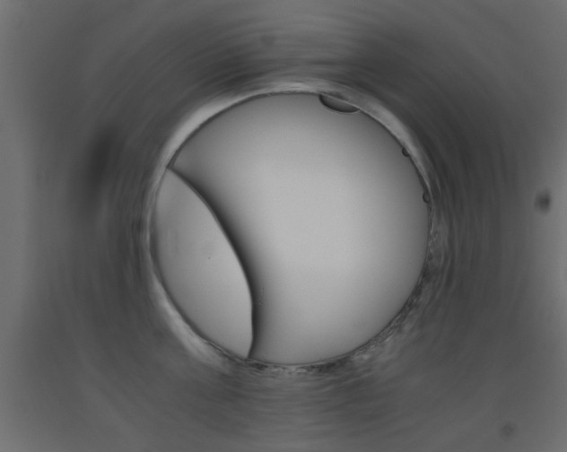 X0000093440811200710120944