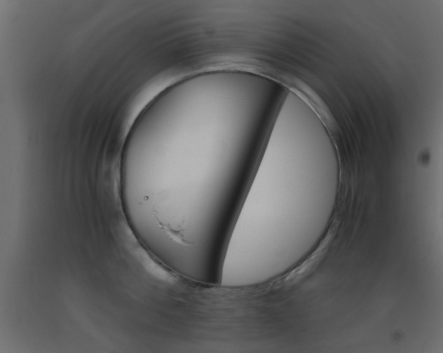 X0000093440812200710120944