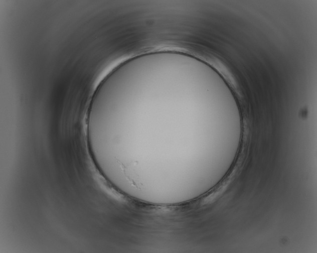 X0000093440814200710120944