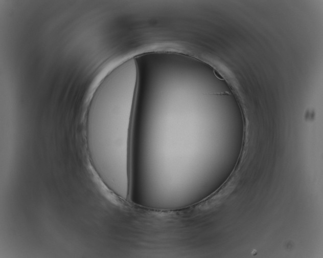 X0000093440816200710120944