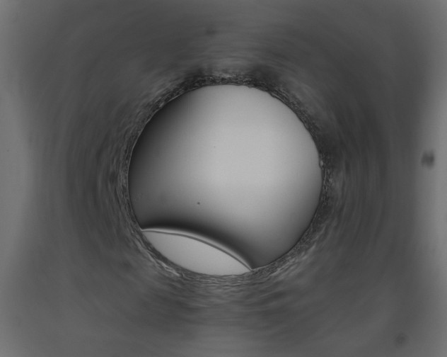 X0000093440817200710120943
