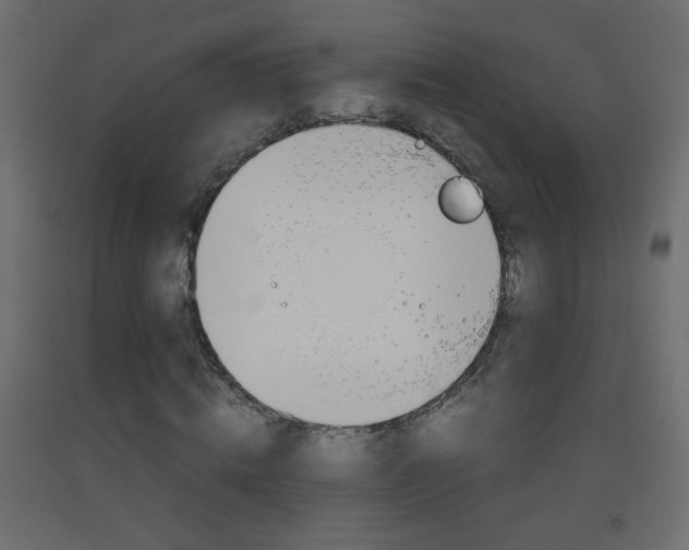 X0000093440820200710120943