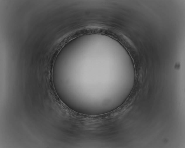 X0000093440821200710120943