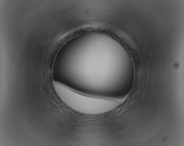 X0000093440822200710120944