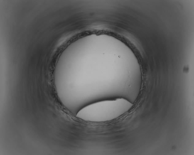 X0000093440823200710120944