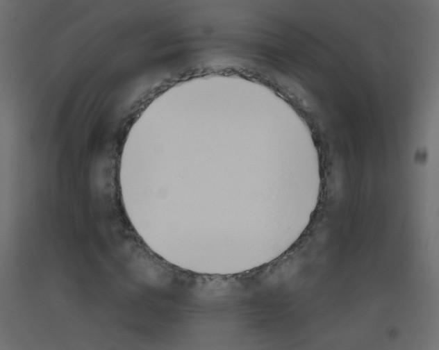 X0000093440824200710120944
