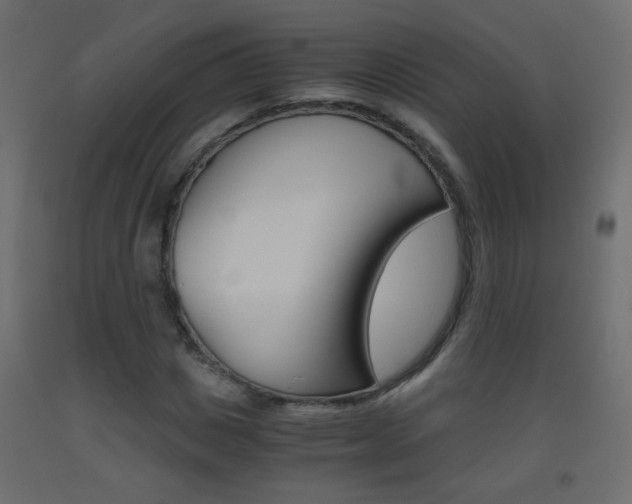 X0000093440825200710120944