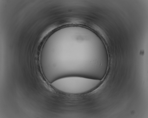 X0000093440827200710120944