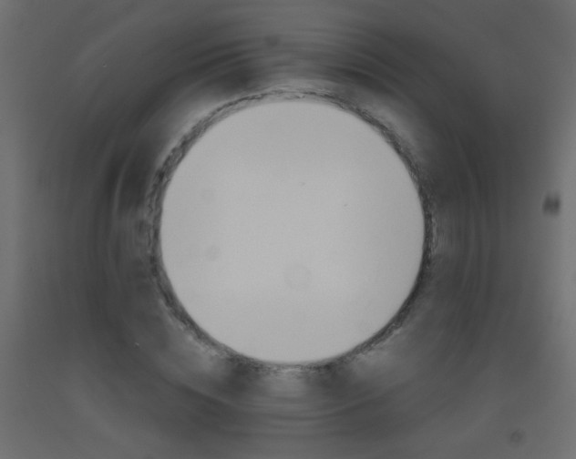 X0000093440828200710120944