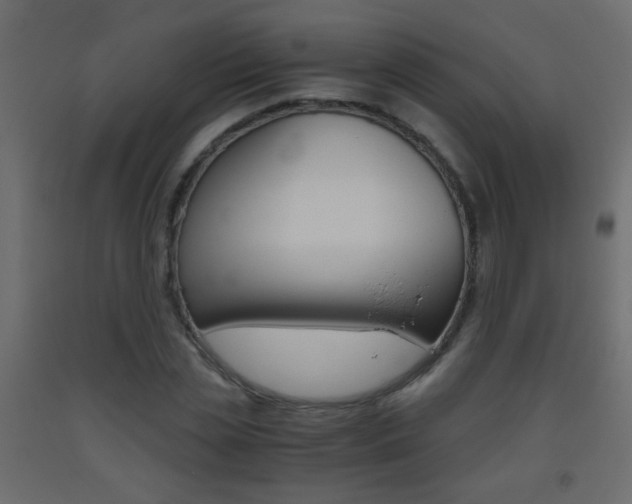 X0000093440829200710120944