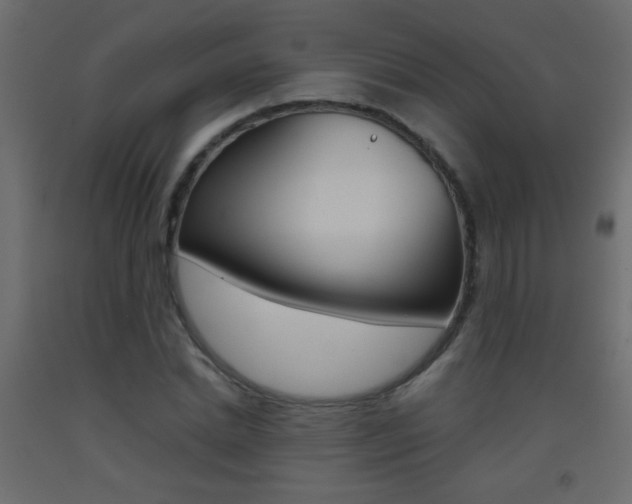 X0000093440830200710120944