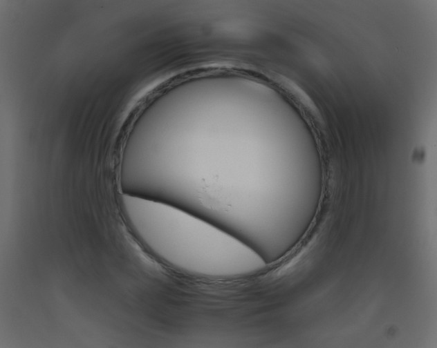 X0000093440831200710120944